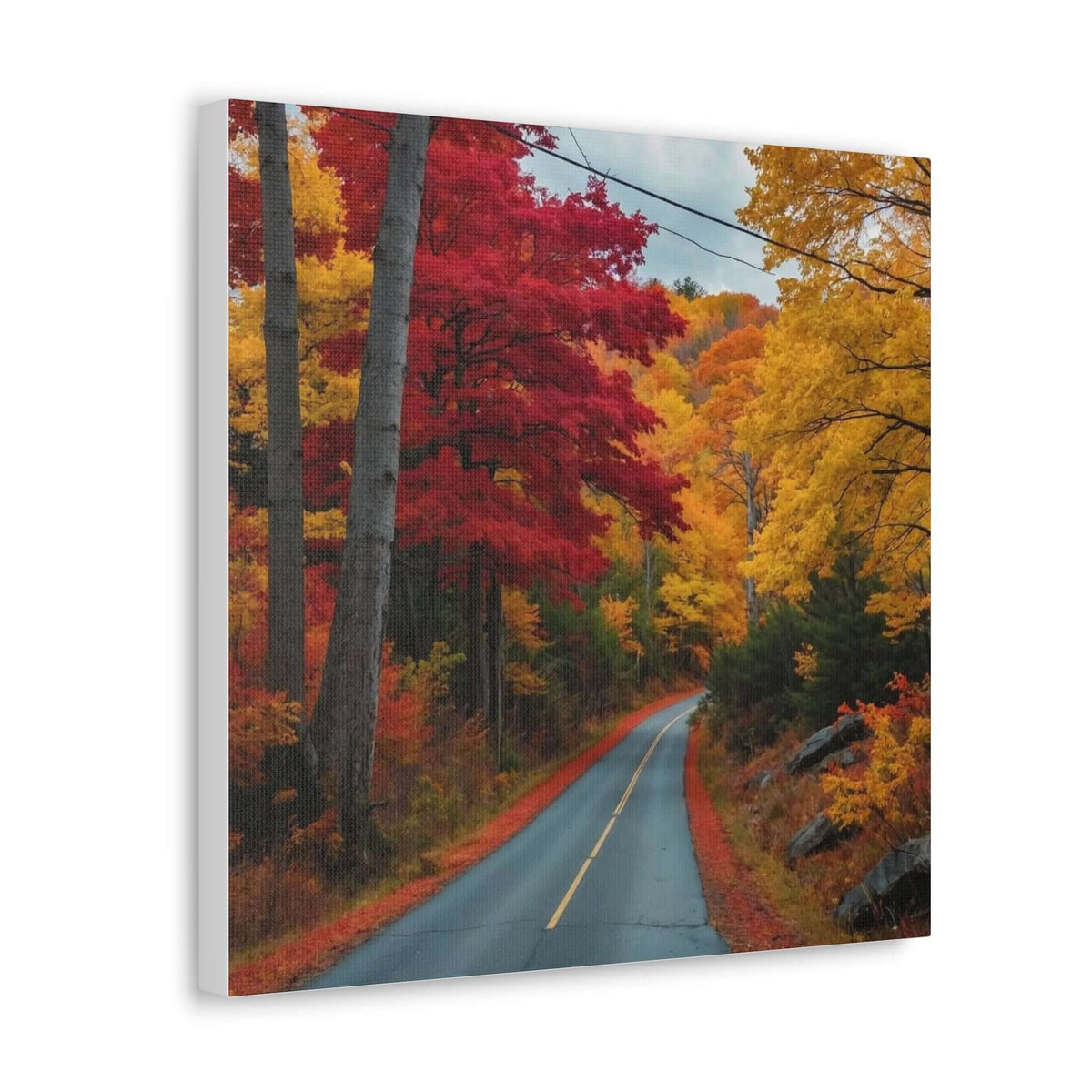 Canvas Wraps Wall Art Prints | Phonax Services