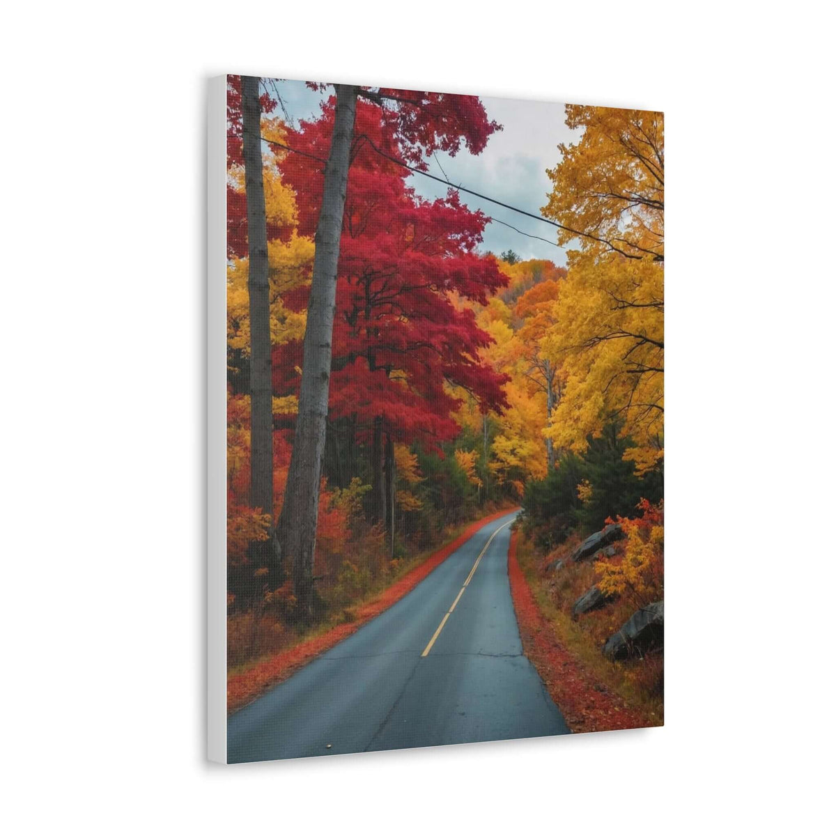 Canvas Wraps Wall Art Prints | Phonax Services