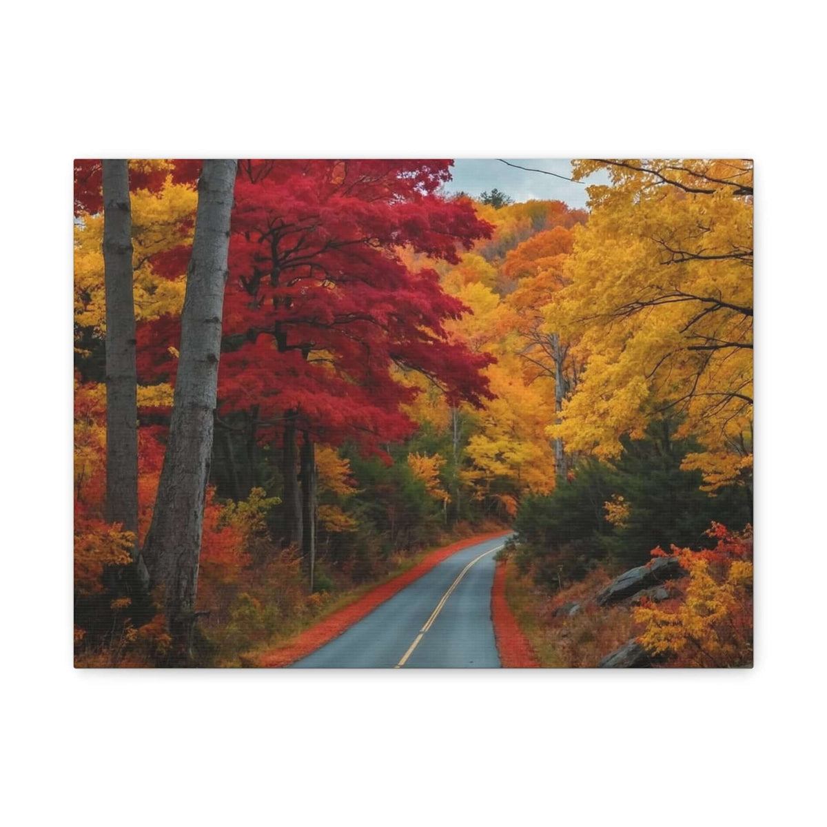 Canvas Wraps Wall Art Prints | Phonax Services