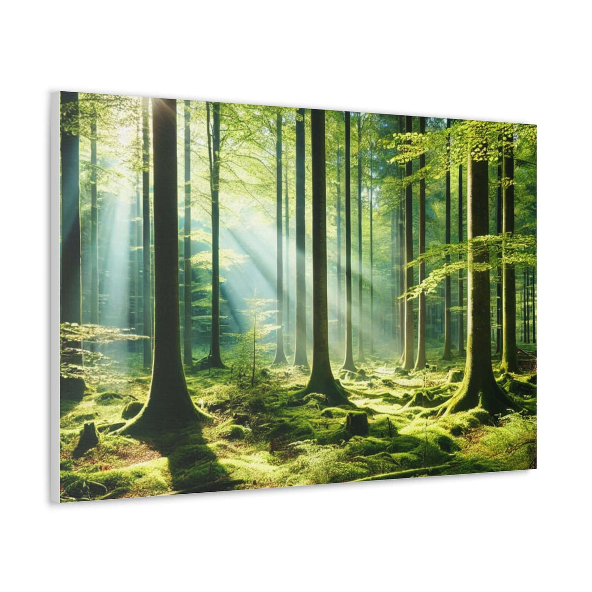 Canvas Gallery Wraps | Phonax Services