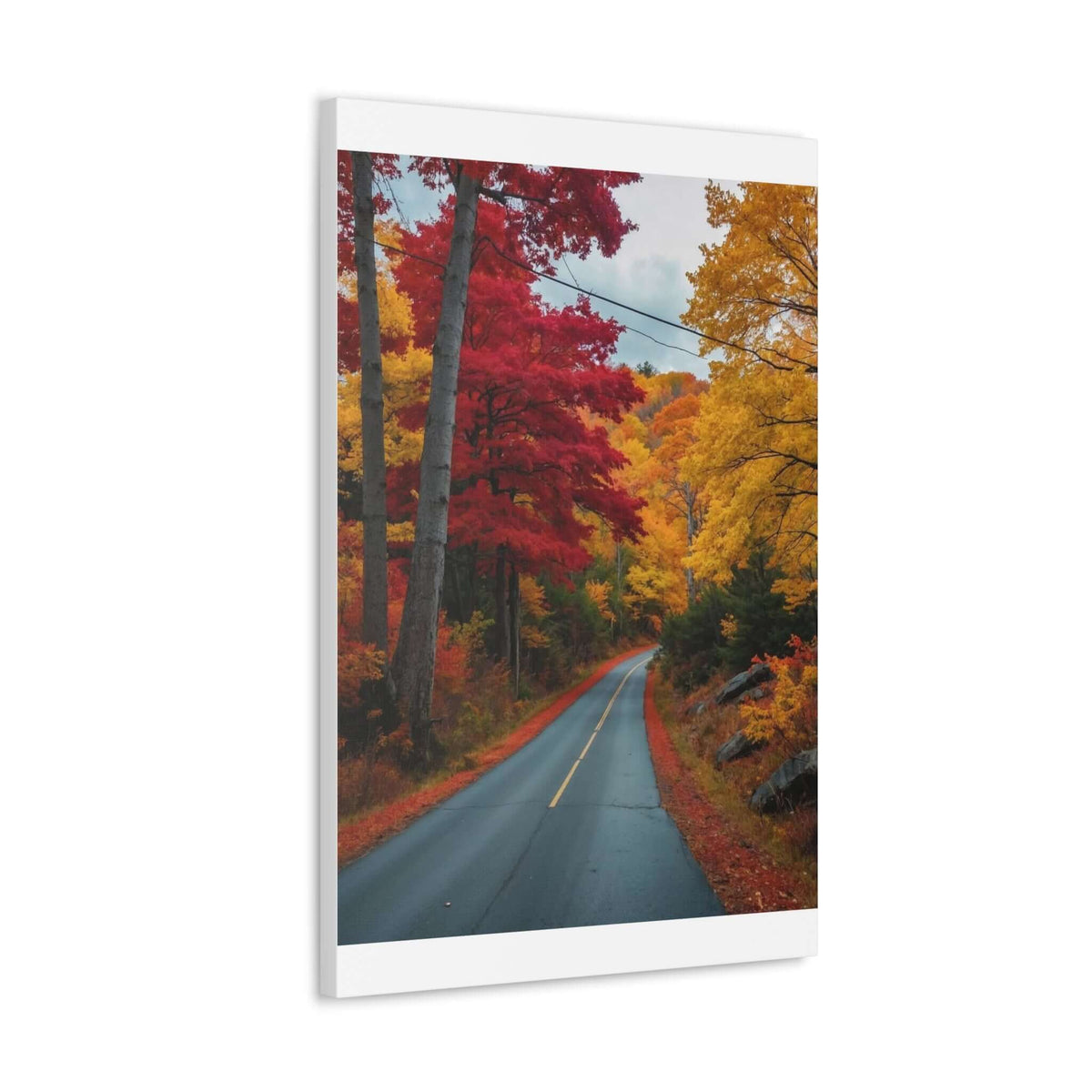 Canvas Wraps Wall Art Prints | Phonax Services