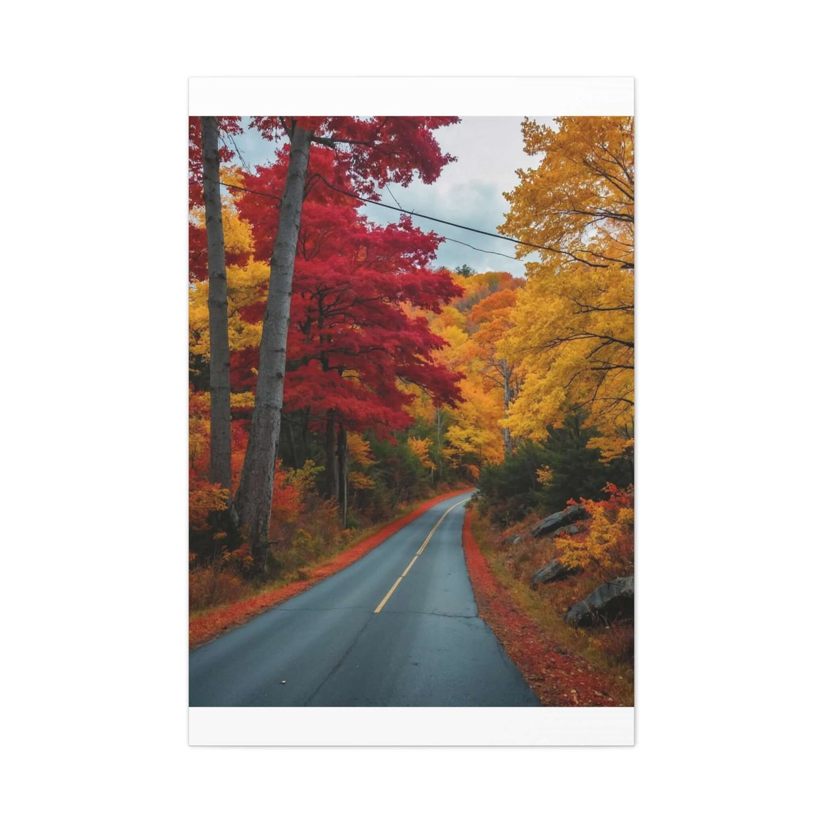 Canvas Wraps Wall Art Prints | Phonax Services