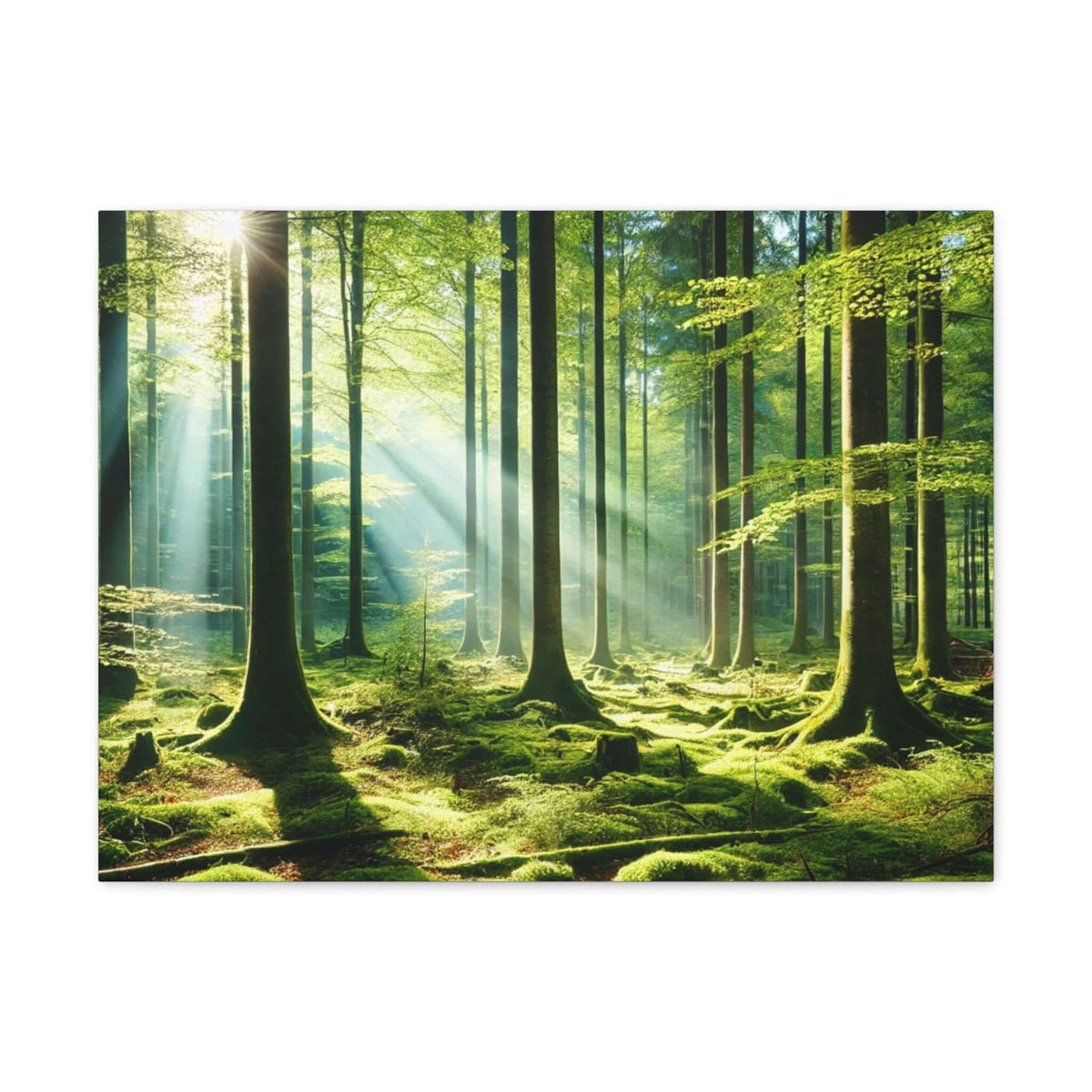 Canvas Gallery Wraps | Phonax Services