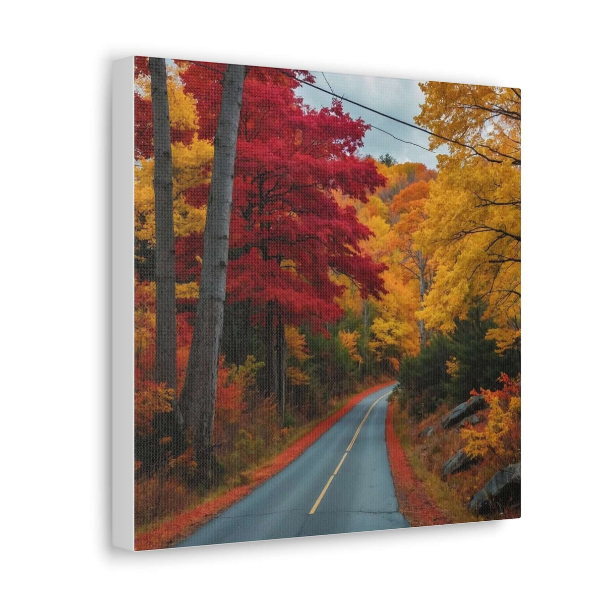 Canvas Wraps Wall Art Prints | Phonax Services
