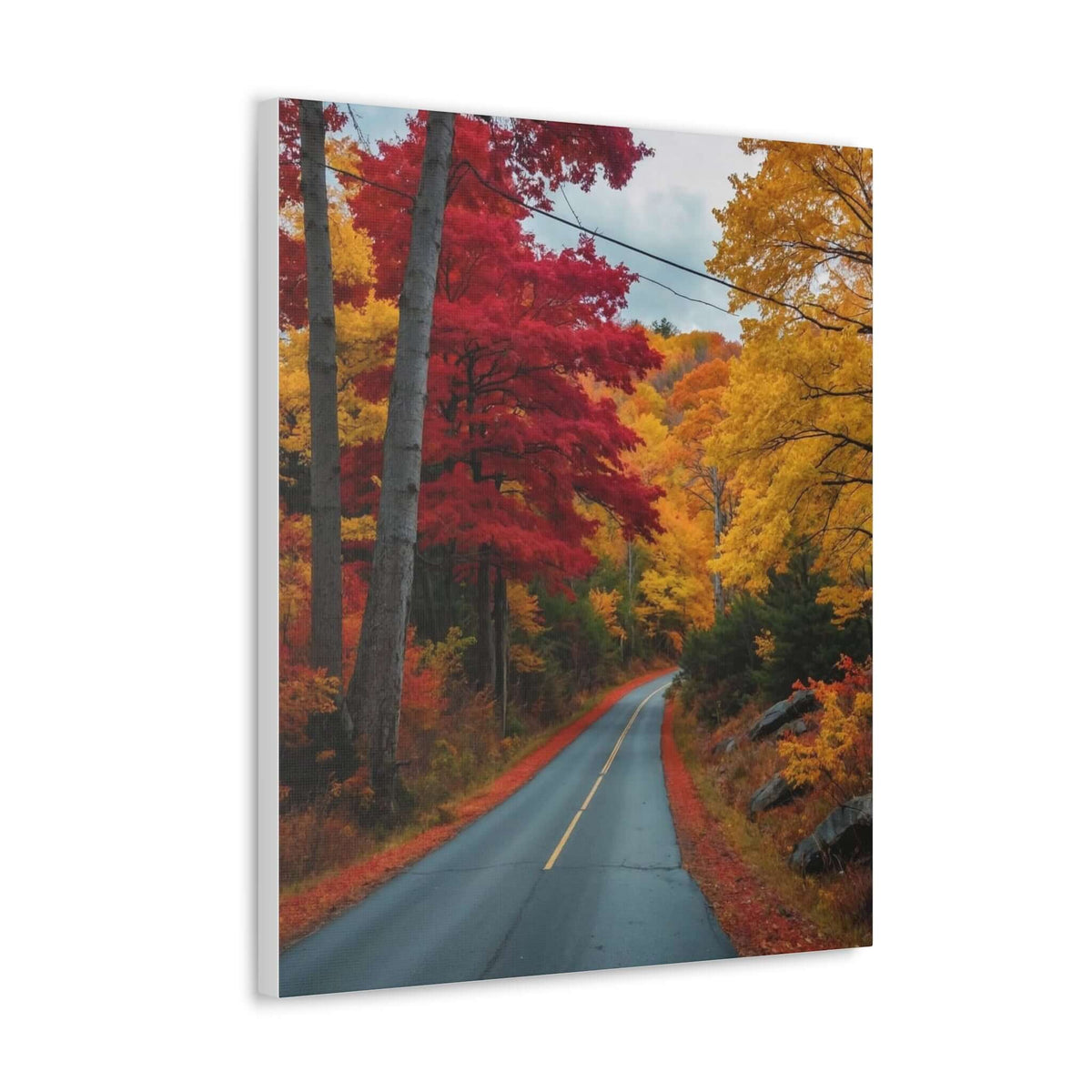 Canvas Wraps Wall Art Prints | Phonax Services