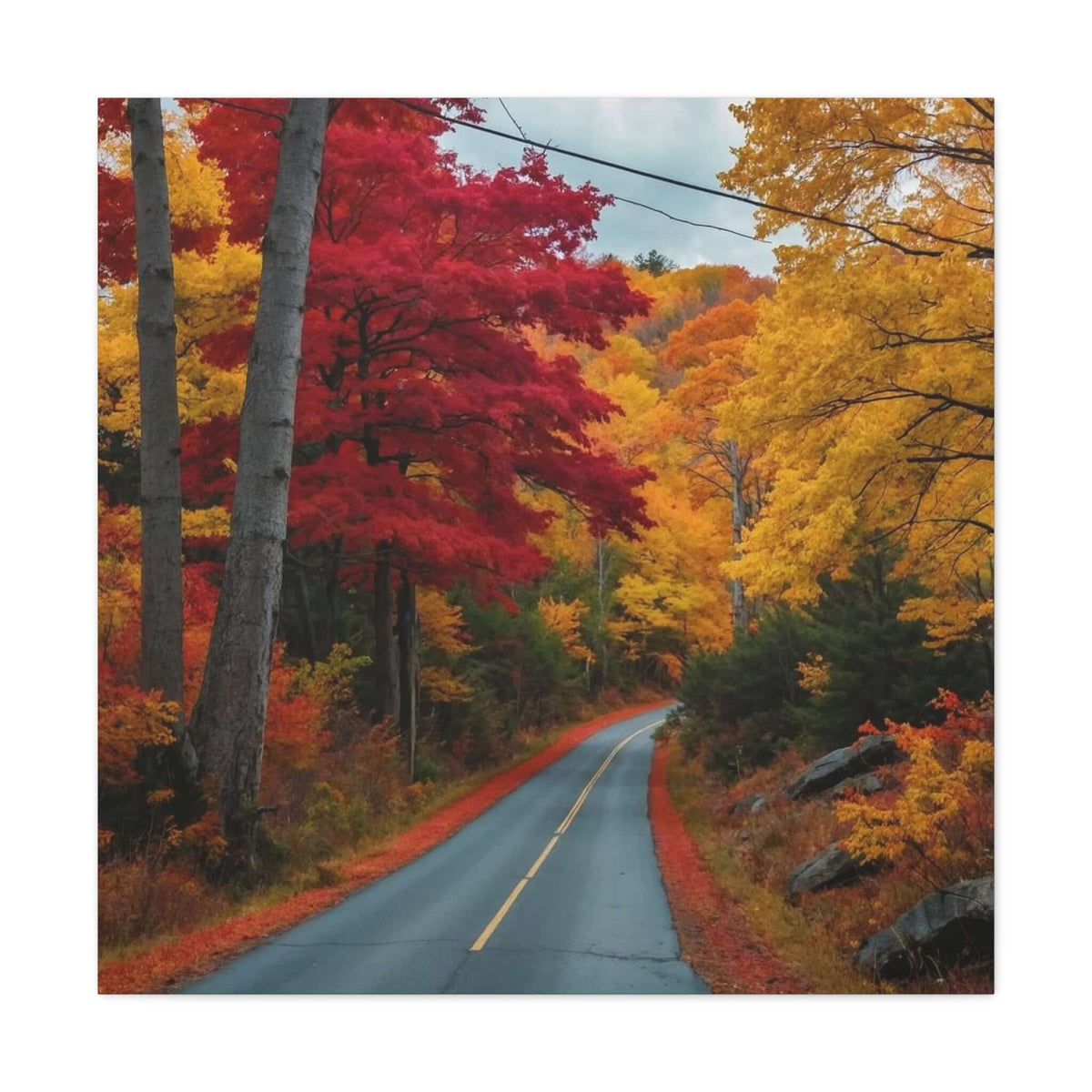 Canvas Wraps Wall Art Prints | Phonax Services