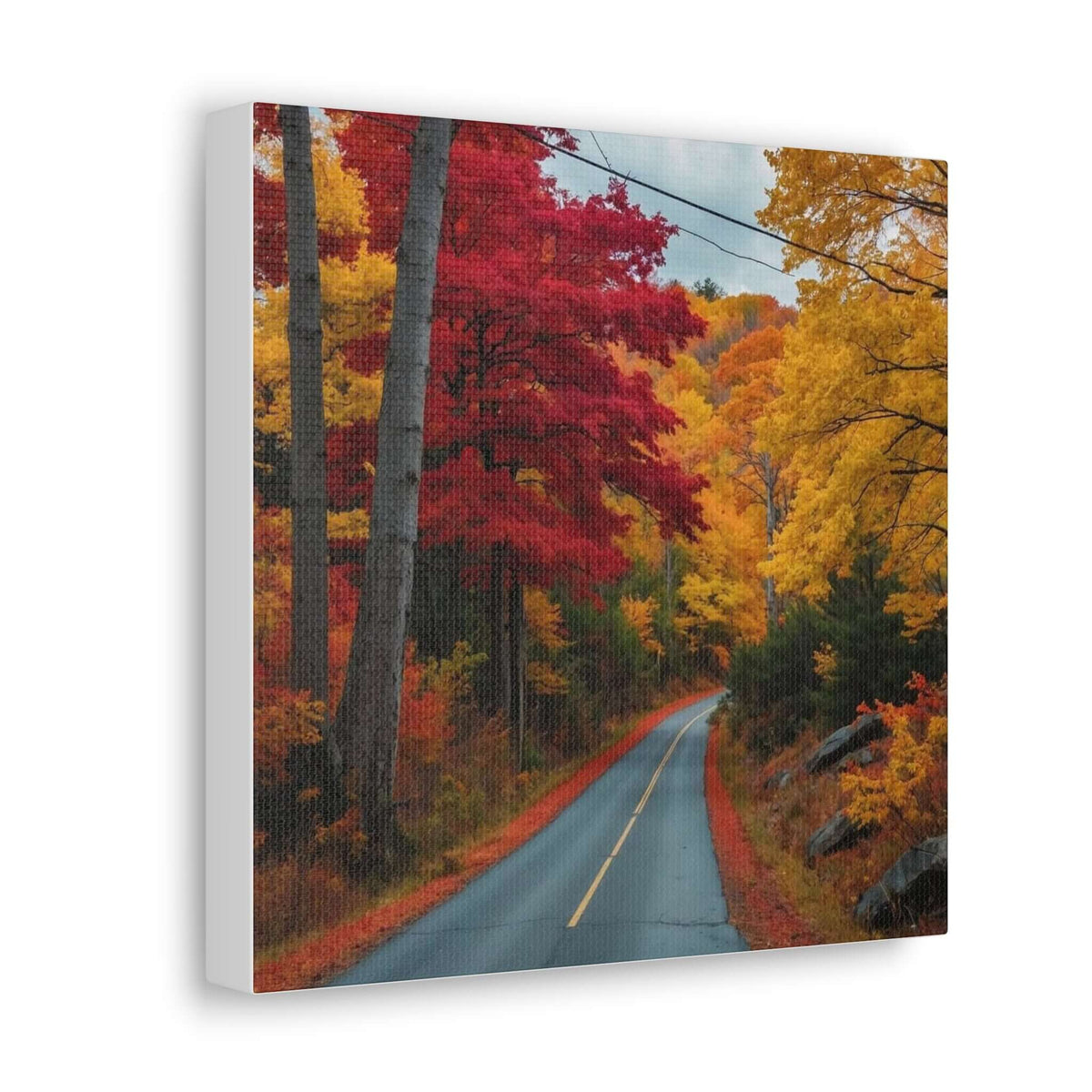 Canvas Wraps Wall Art Prints | Phonax Services