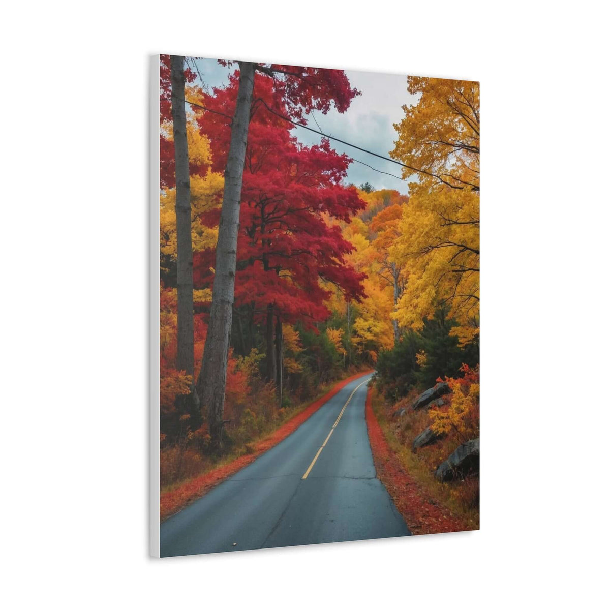 Canvas Wraps Wall Art Prints | Phonax Services