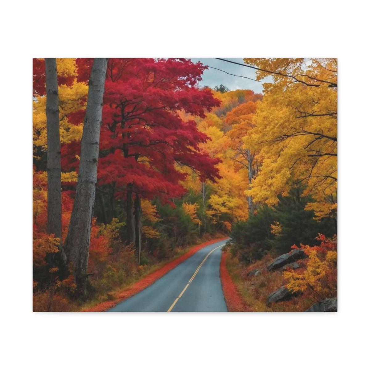 Canvas Wraps Wall Art Prints | Phonax Services