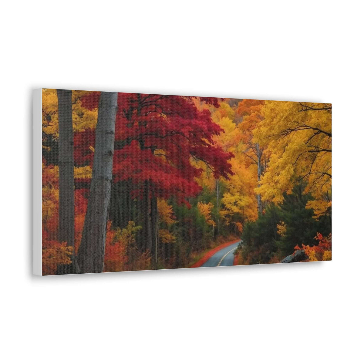 Canvas Wraps Wall Art Prints | Phonax Services