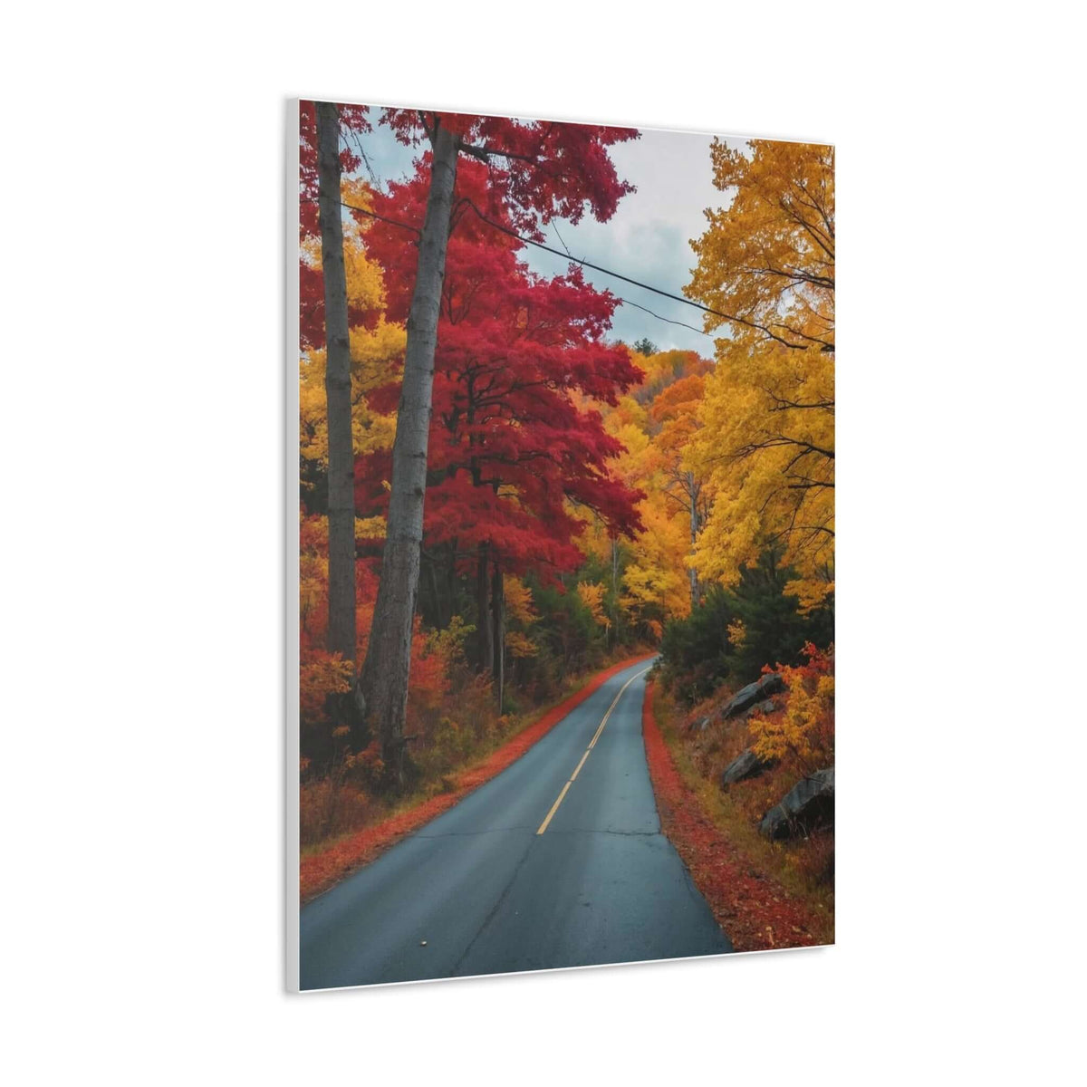 Canvas Wraps Wall Art Prints | Phonax Services