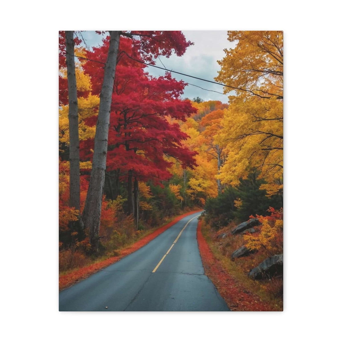 Canvas Wraps Wall Art Prints | Phonax Services