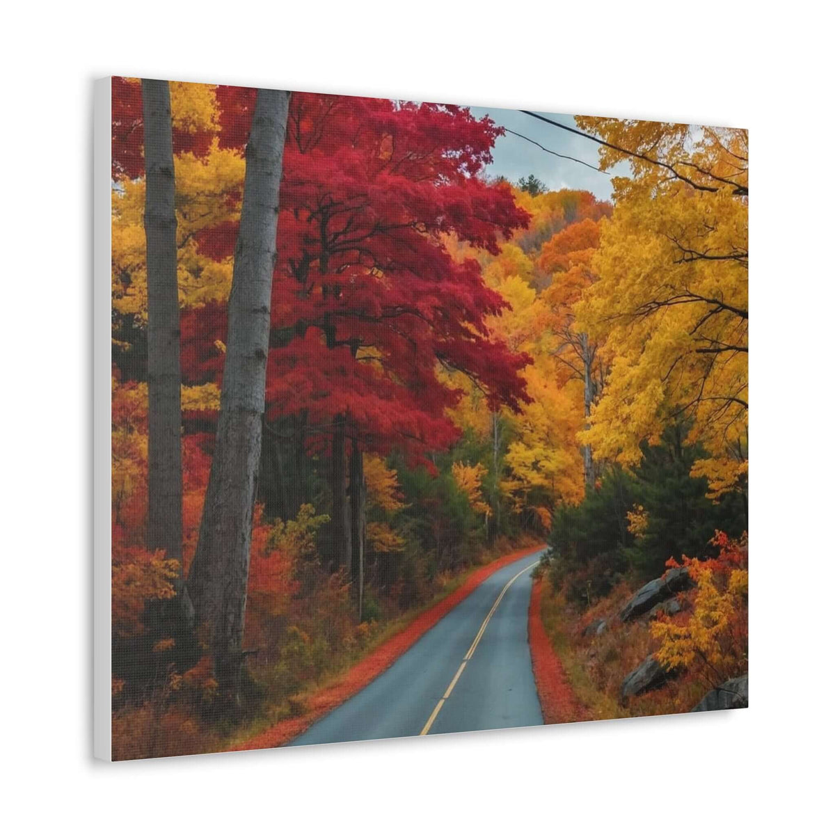 Canvas Wraps Wall Art Prints | Phonax Services