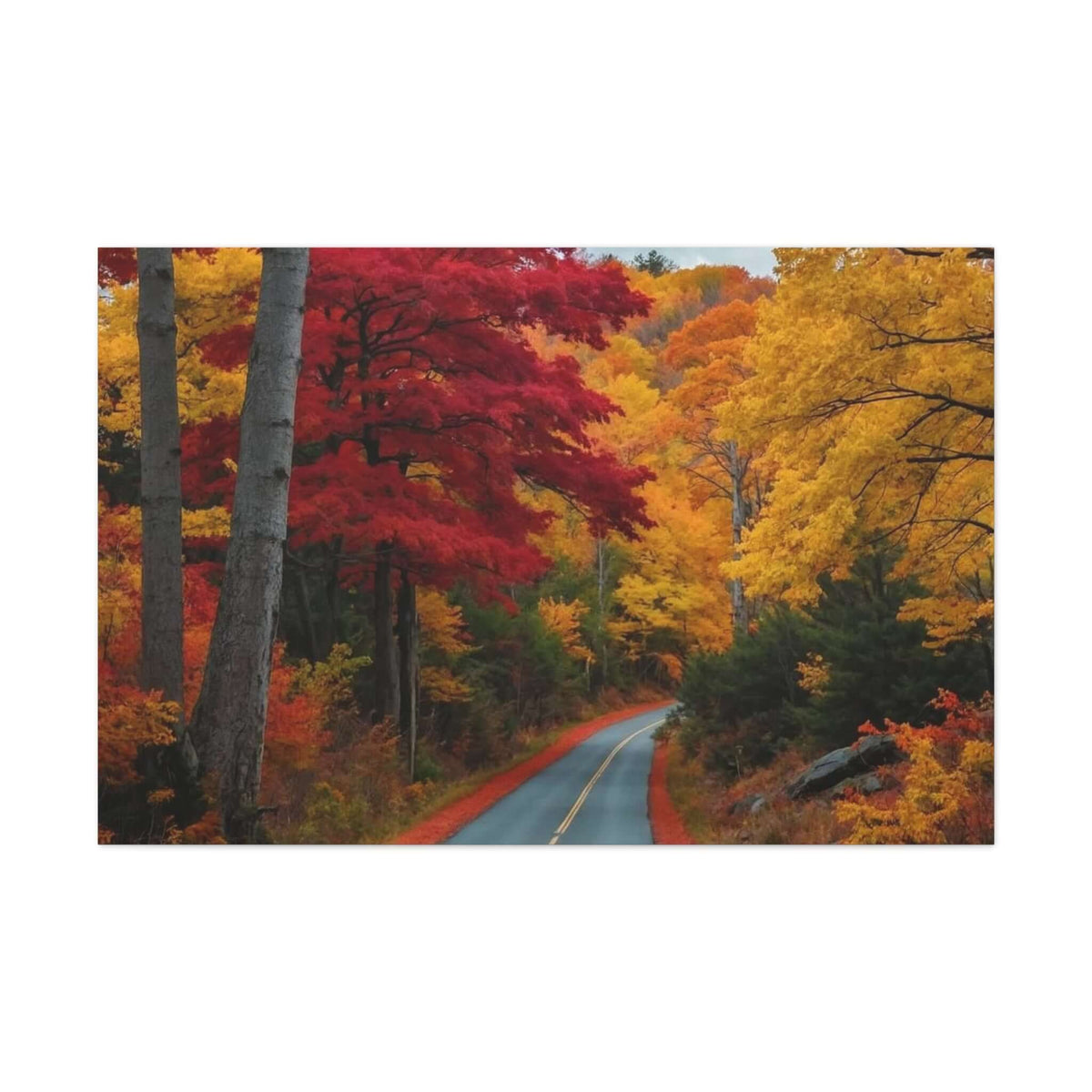 Canvas Wraps Wall Art Prints | Phonax Services