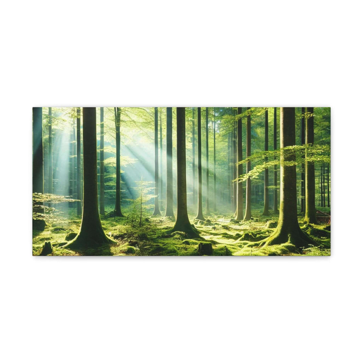 Canvas Gallery Wraps | Phonax Services