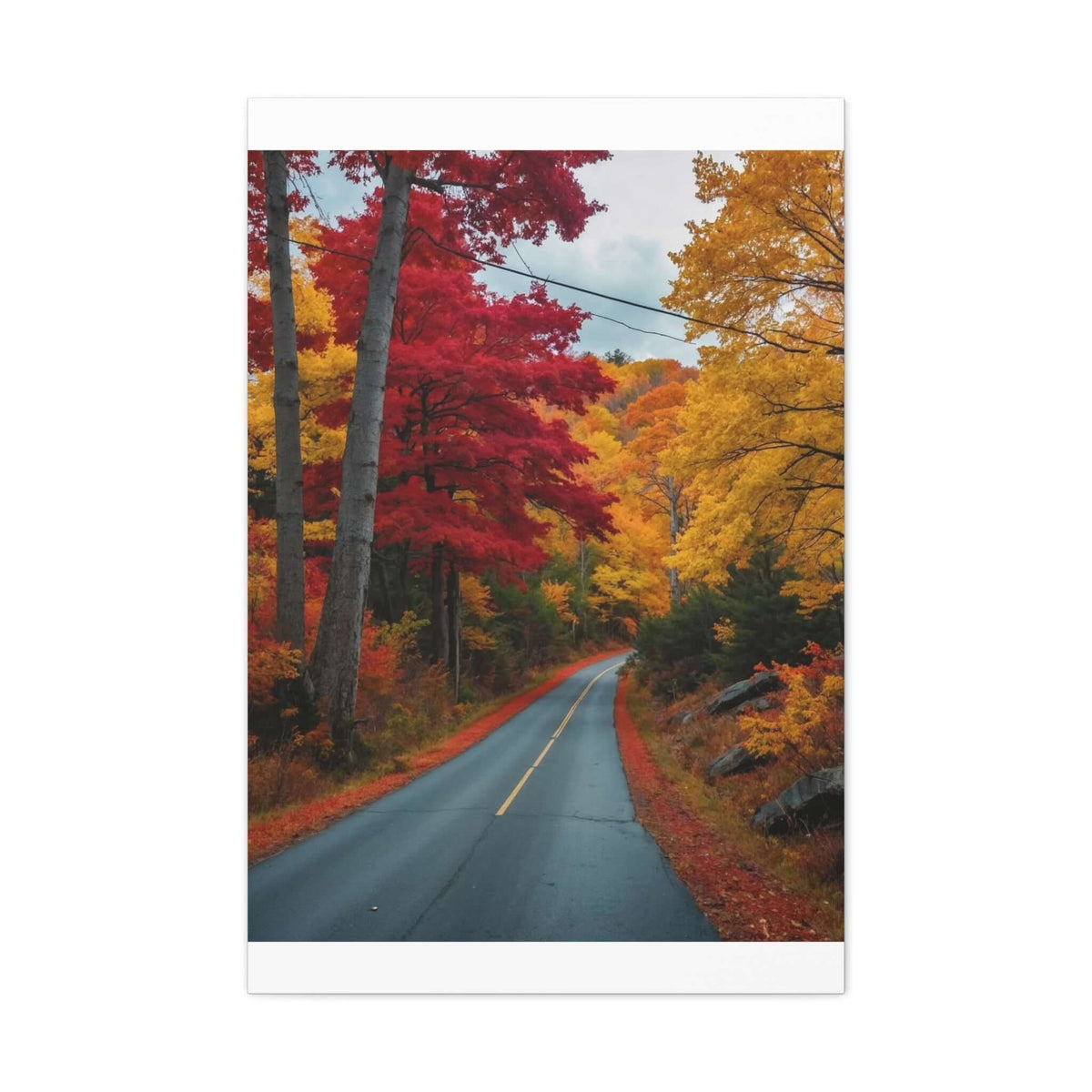 Canvas Wraps Wall Art Prints | Phonax Services