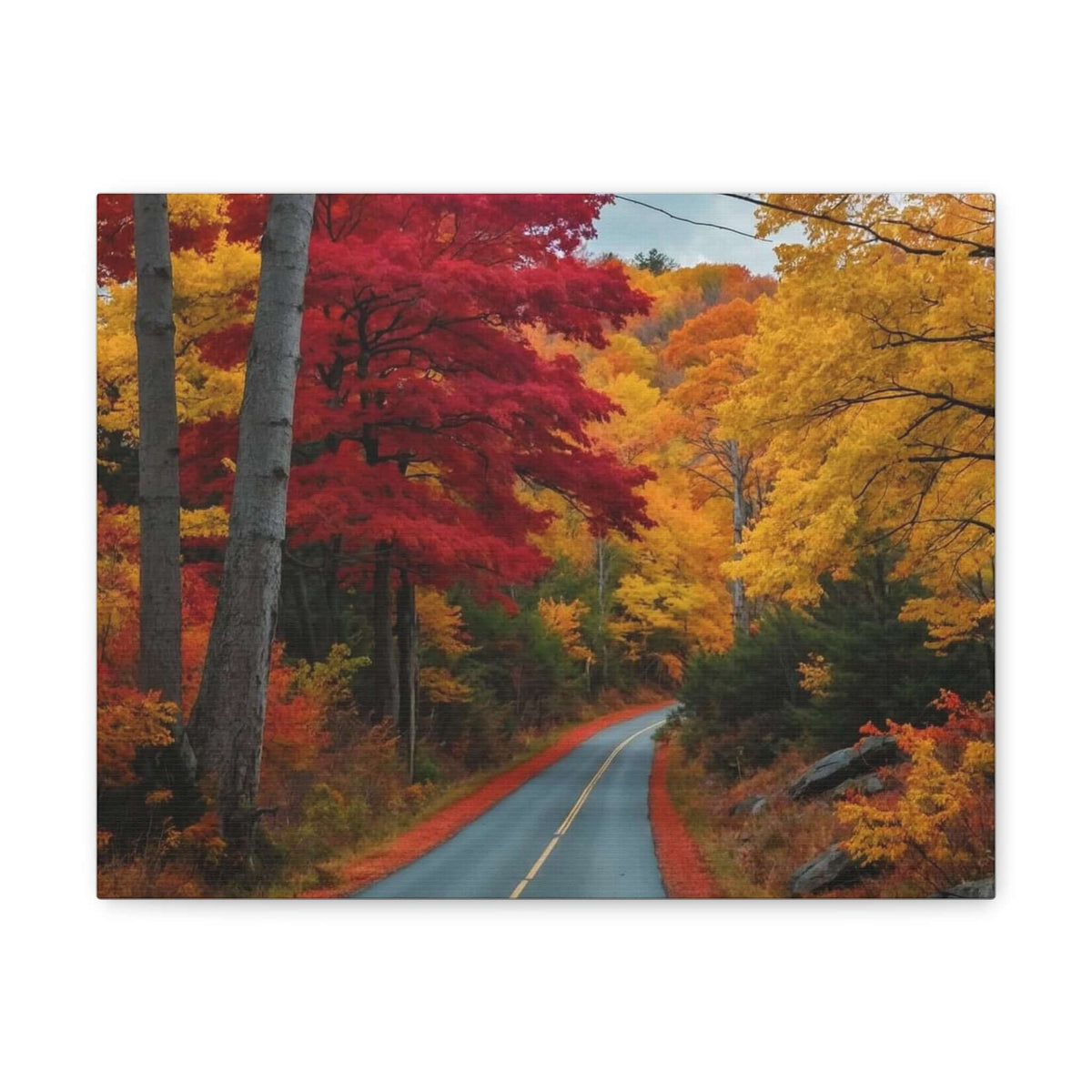Canvas Wraps Wall Art Prints | Phonax Services