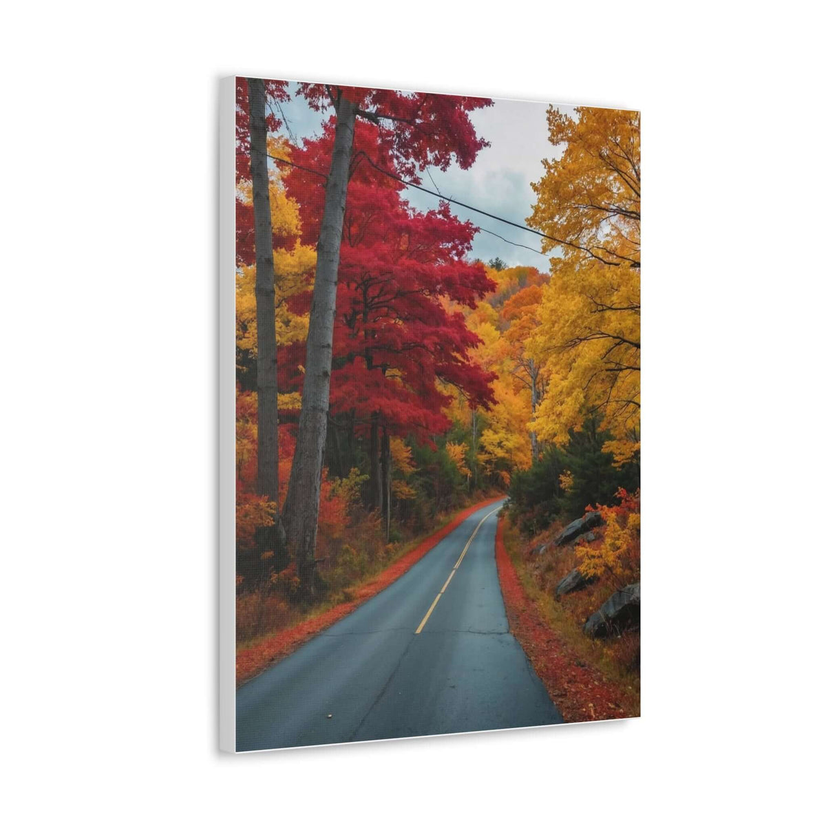 Canvas Wraps Wall Art Prints | Phonax Services