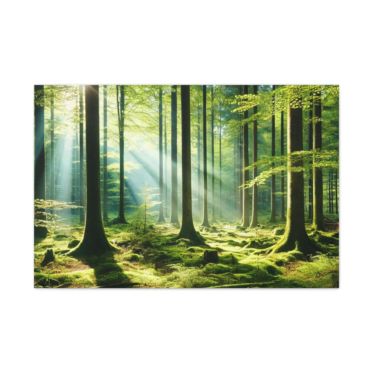 Canvas Gallery Wraps | Phonax Services