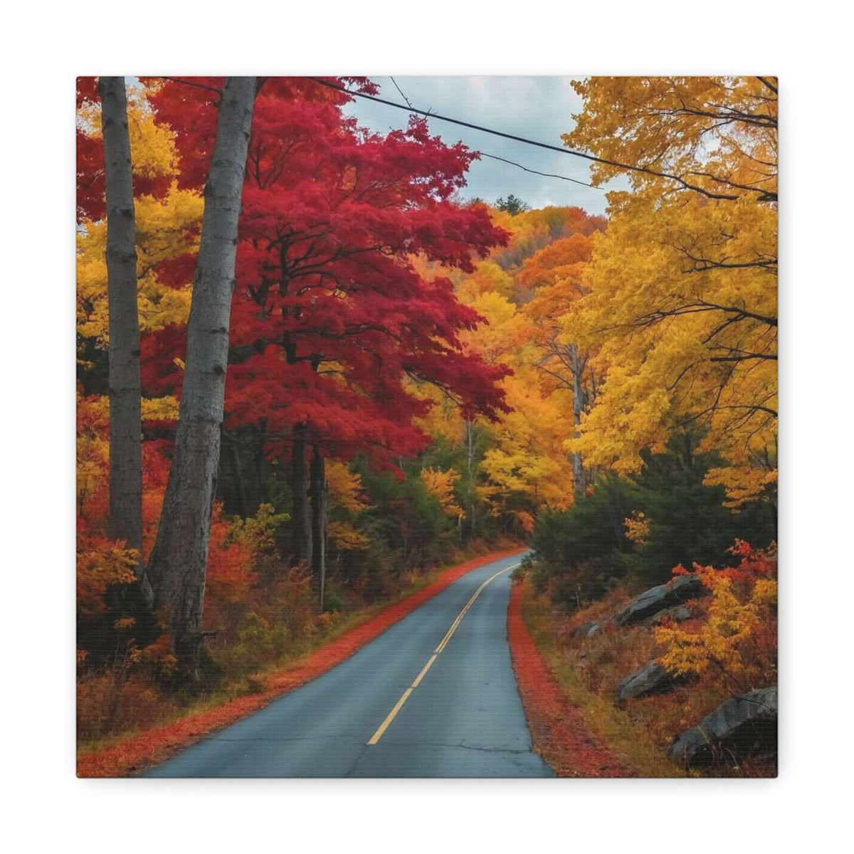 Canvas Wraps Wall Art Prints | Phonax Services