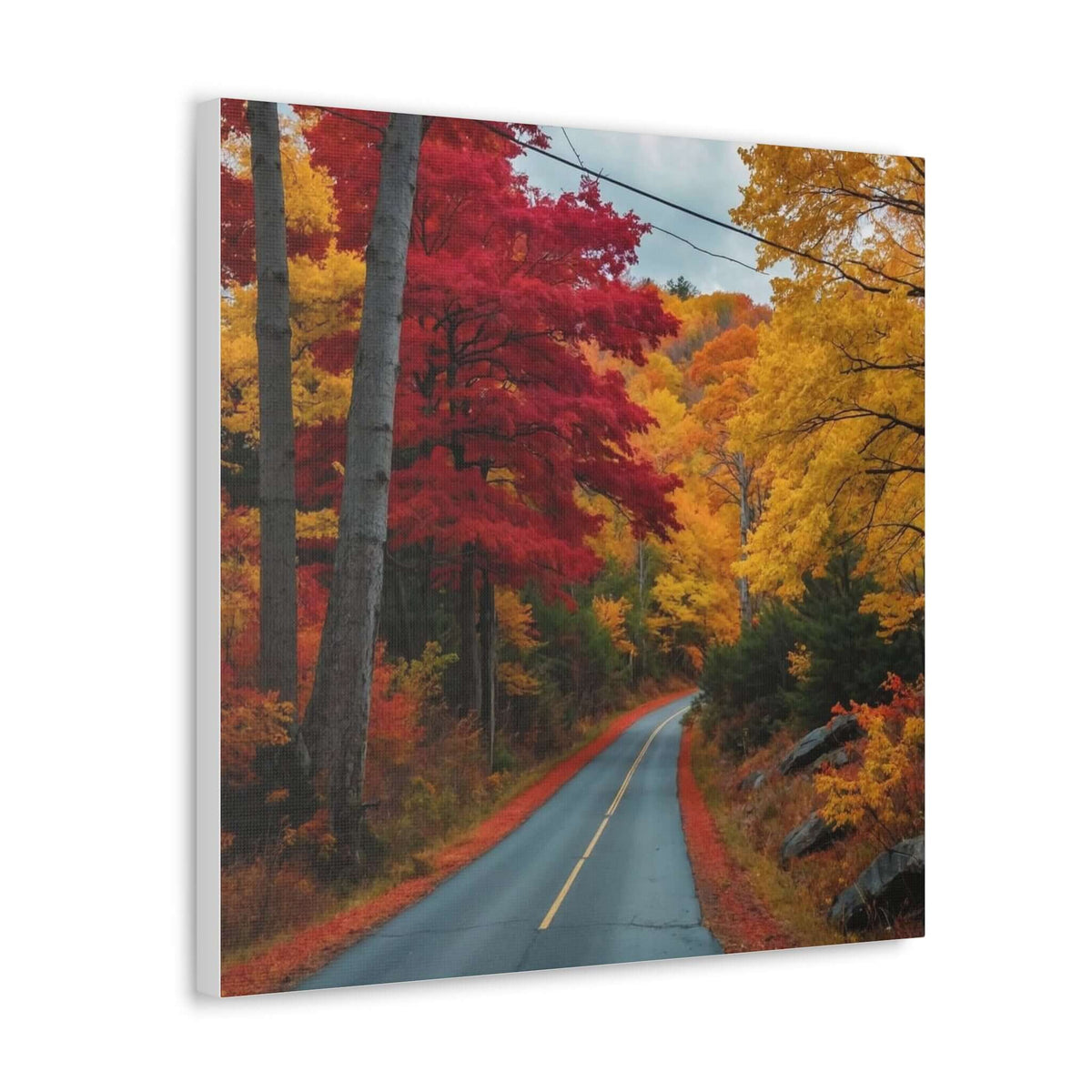 Canvas Wraps Wall Art Prints | Phonax Services