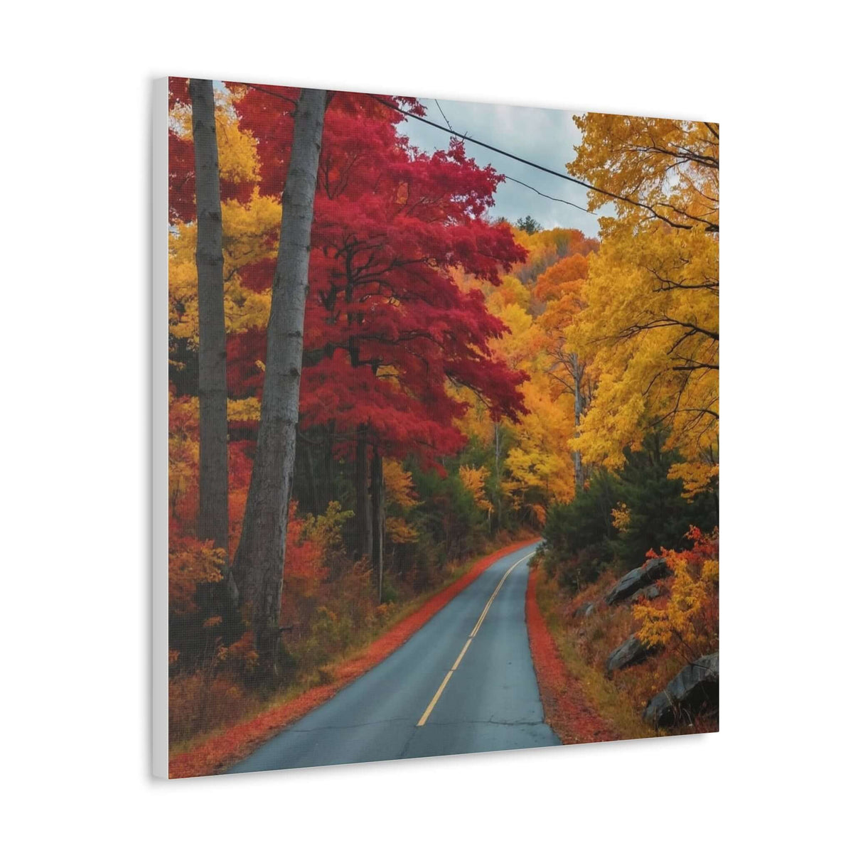 Canvas Wraps Wall Art Prints | Phonax Services