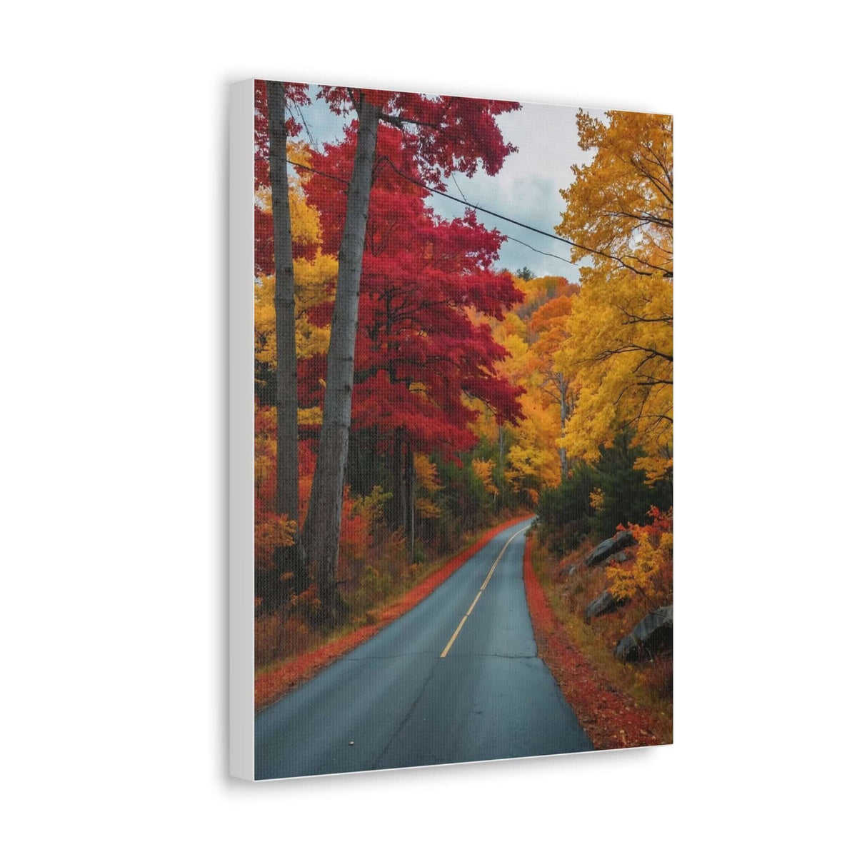 Canvas Wraps Wall Art Prints | Phonax Services