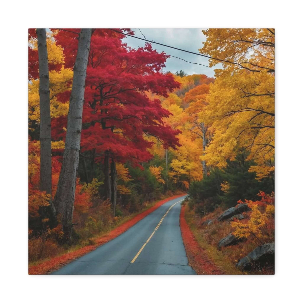 Canvas Wraps Wall Art Prints | Phonax Services