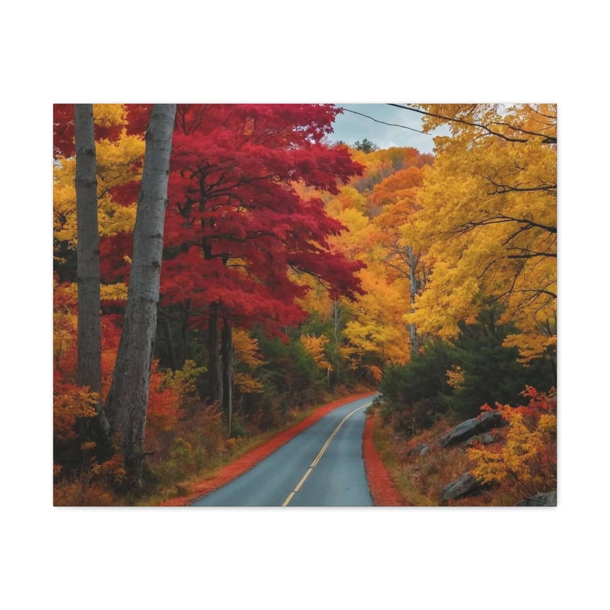 Canvas Wraps Wall Art Prints | Phonax Services