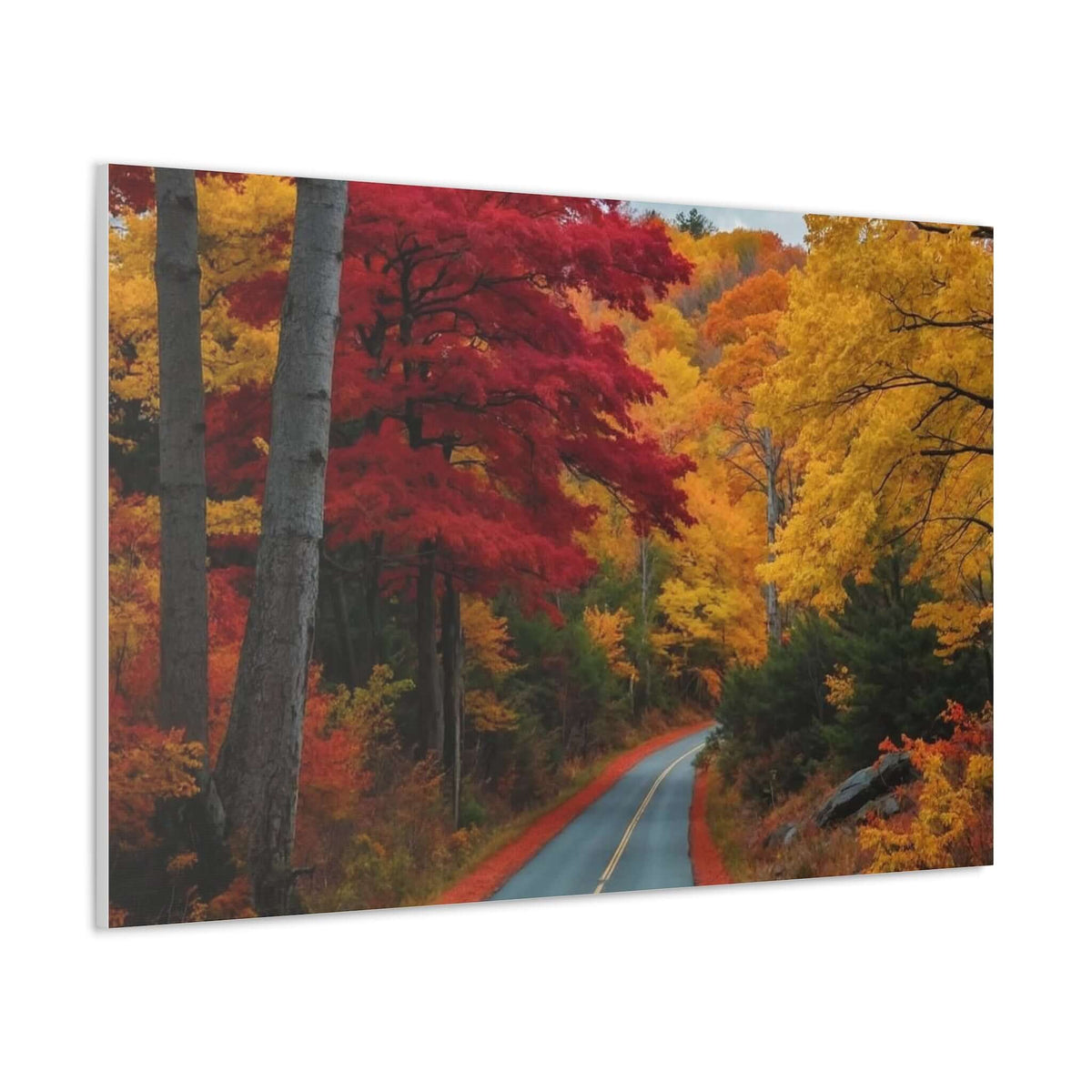 Canvas Wraps Wall Art Prints | Phonax Services