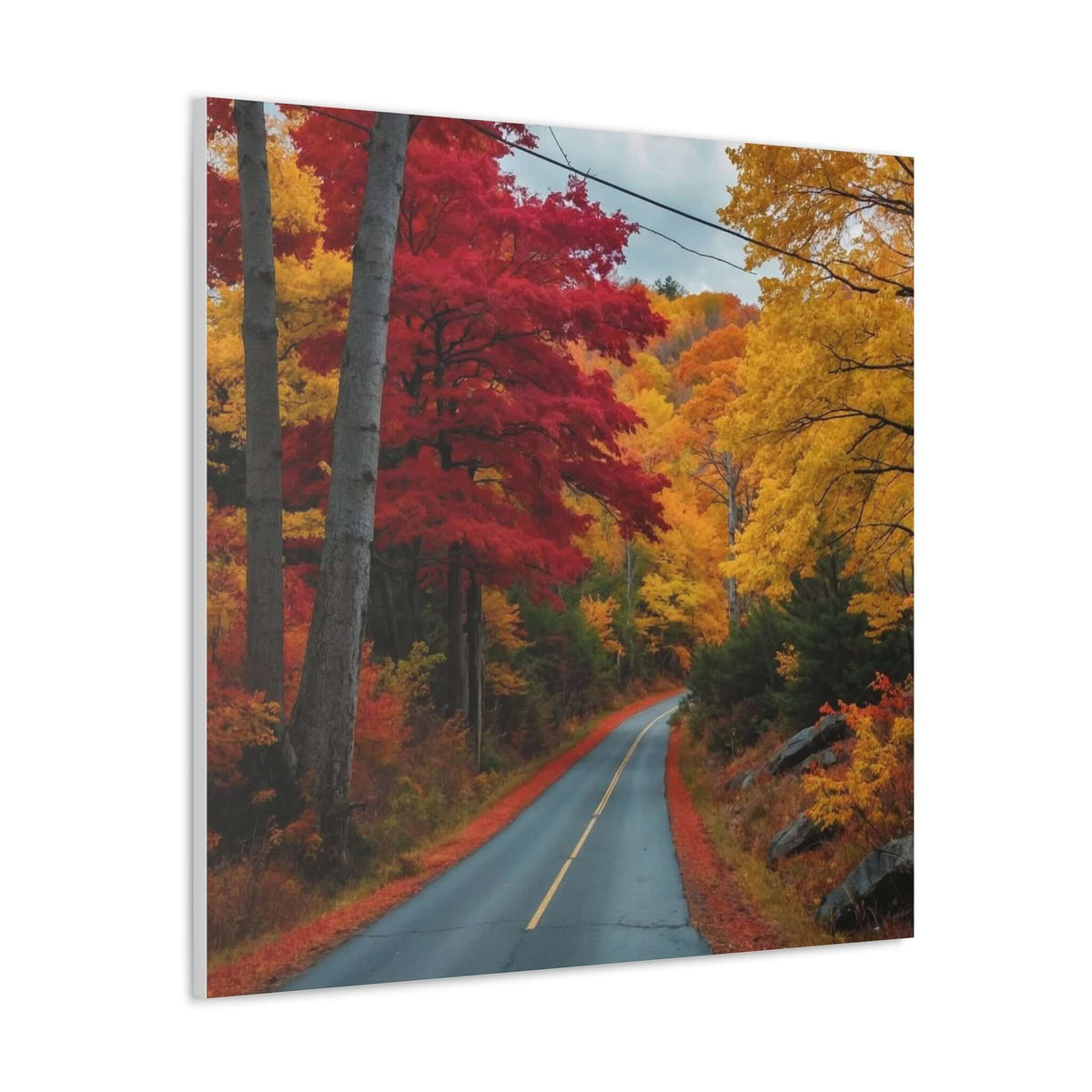 Canvas Wraps Wall Art Prints | Phonax Services