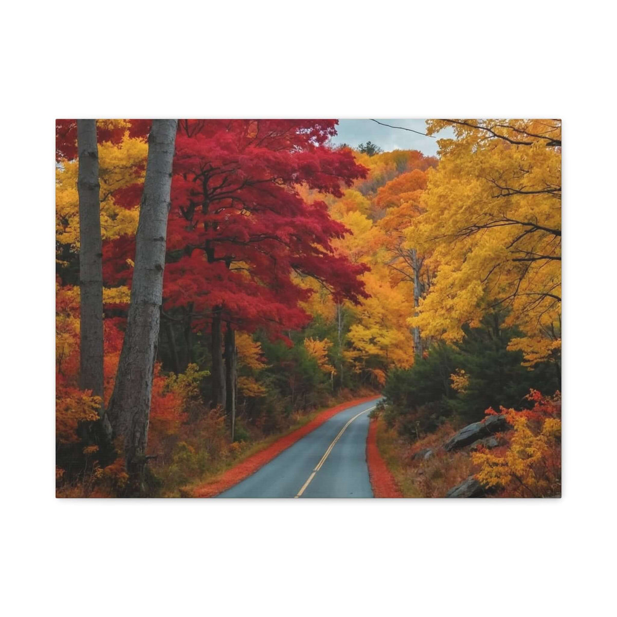 Canvas Wraps Wall Art Prints | Phonax Services