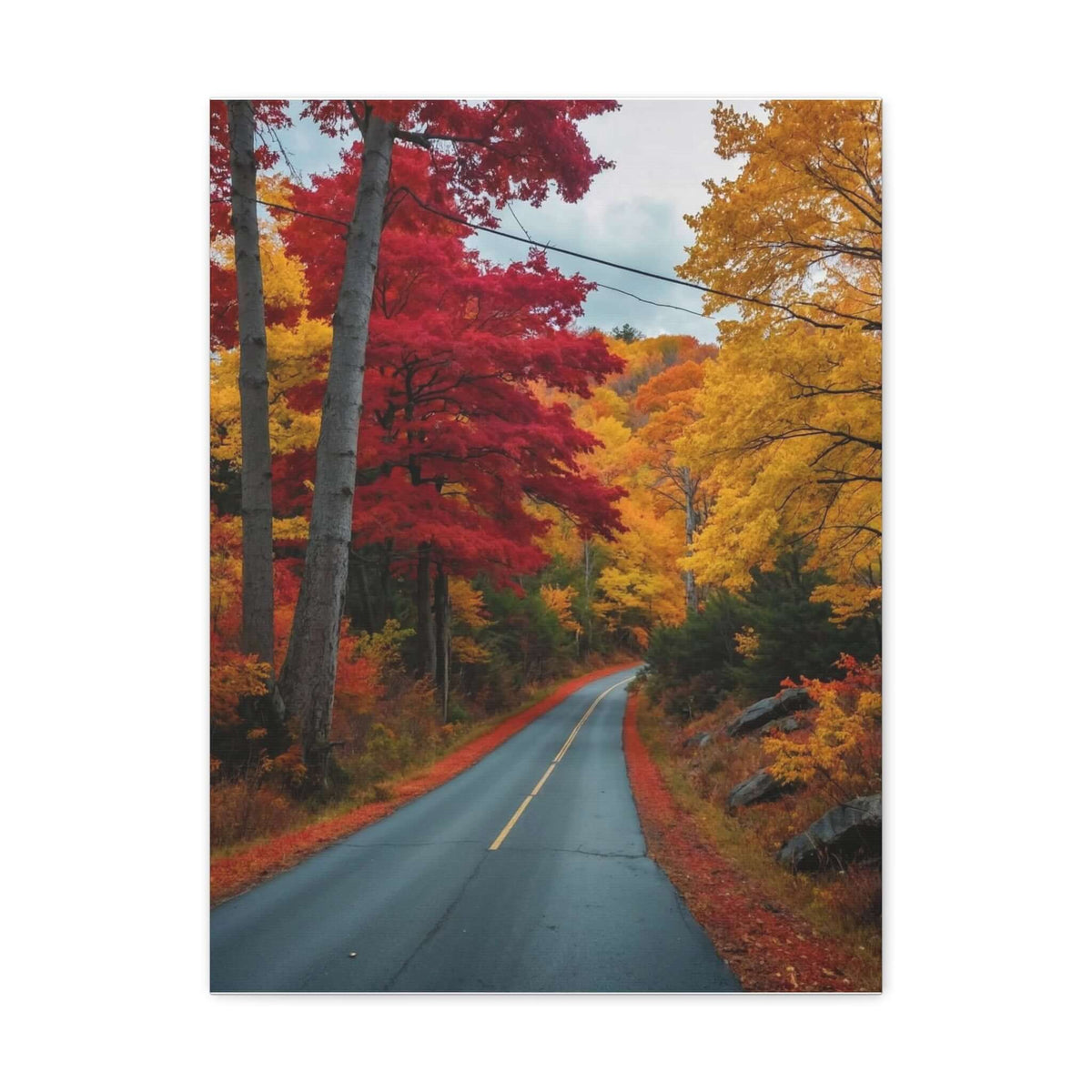Canvas Wraps Wall Art Prints | Phonax Services
