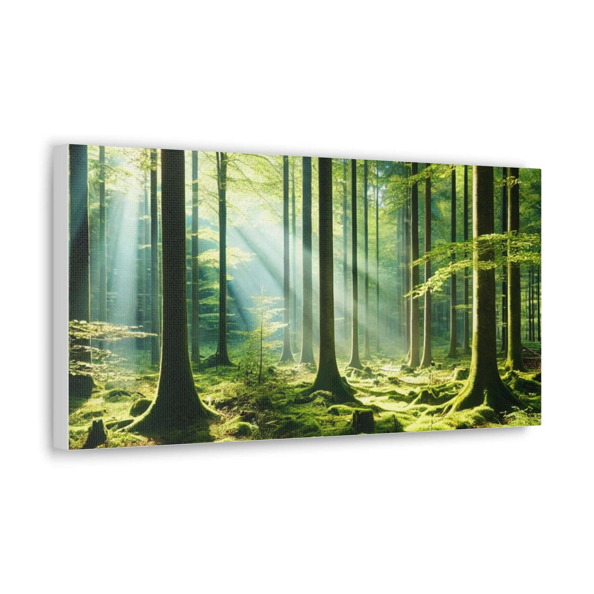 Canvas Gallery Wraps | Phonax Services