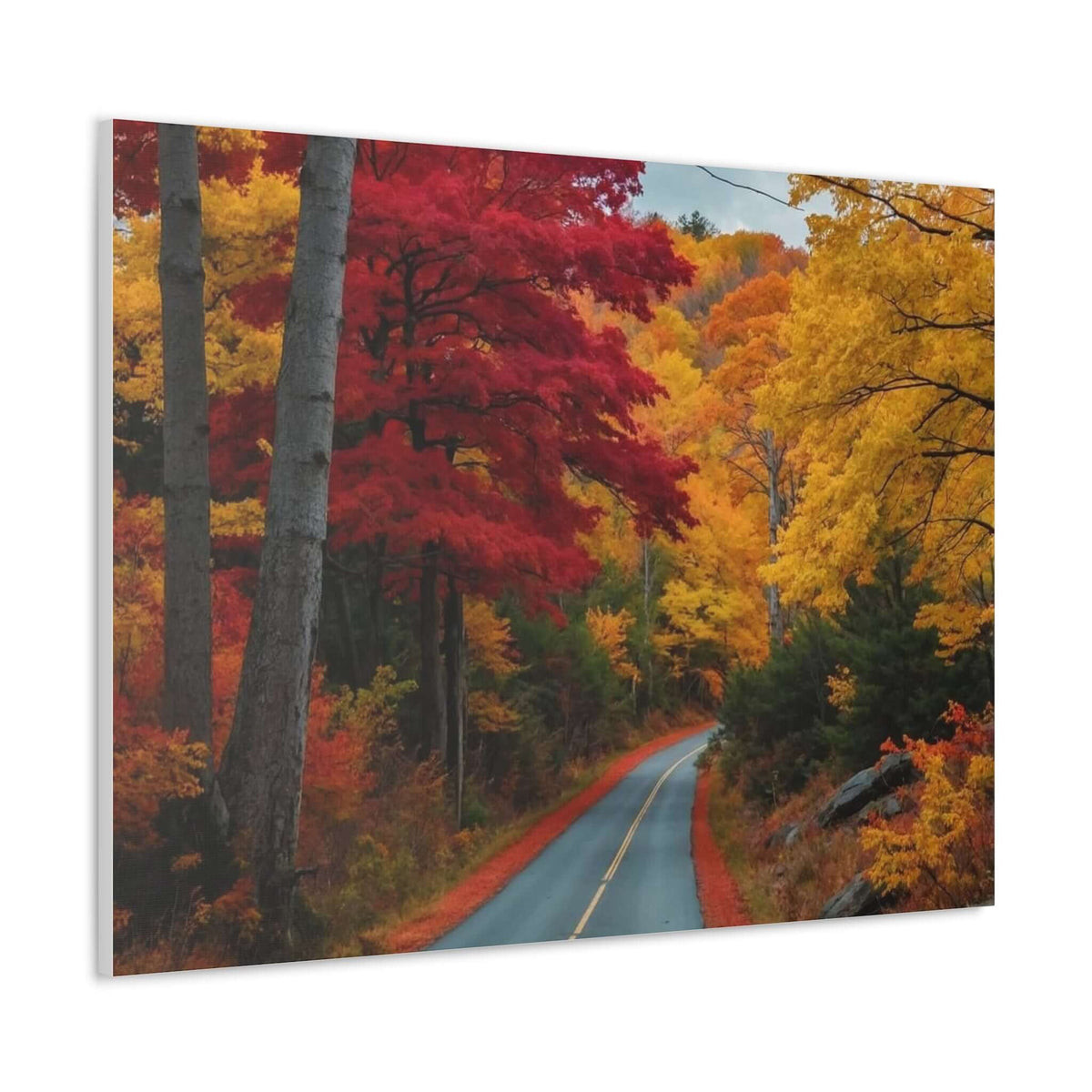 Canvas Wraps Wall Art Prints | Phonax Services