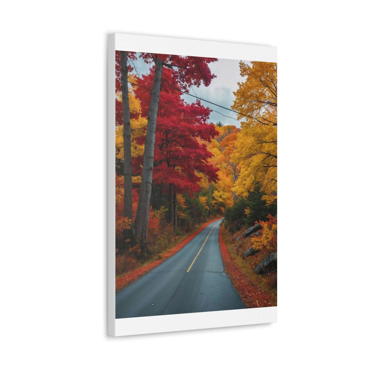Canvas Wraps Wall Art Prints | Phonax Services