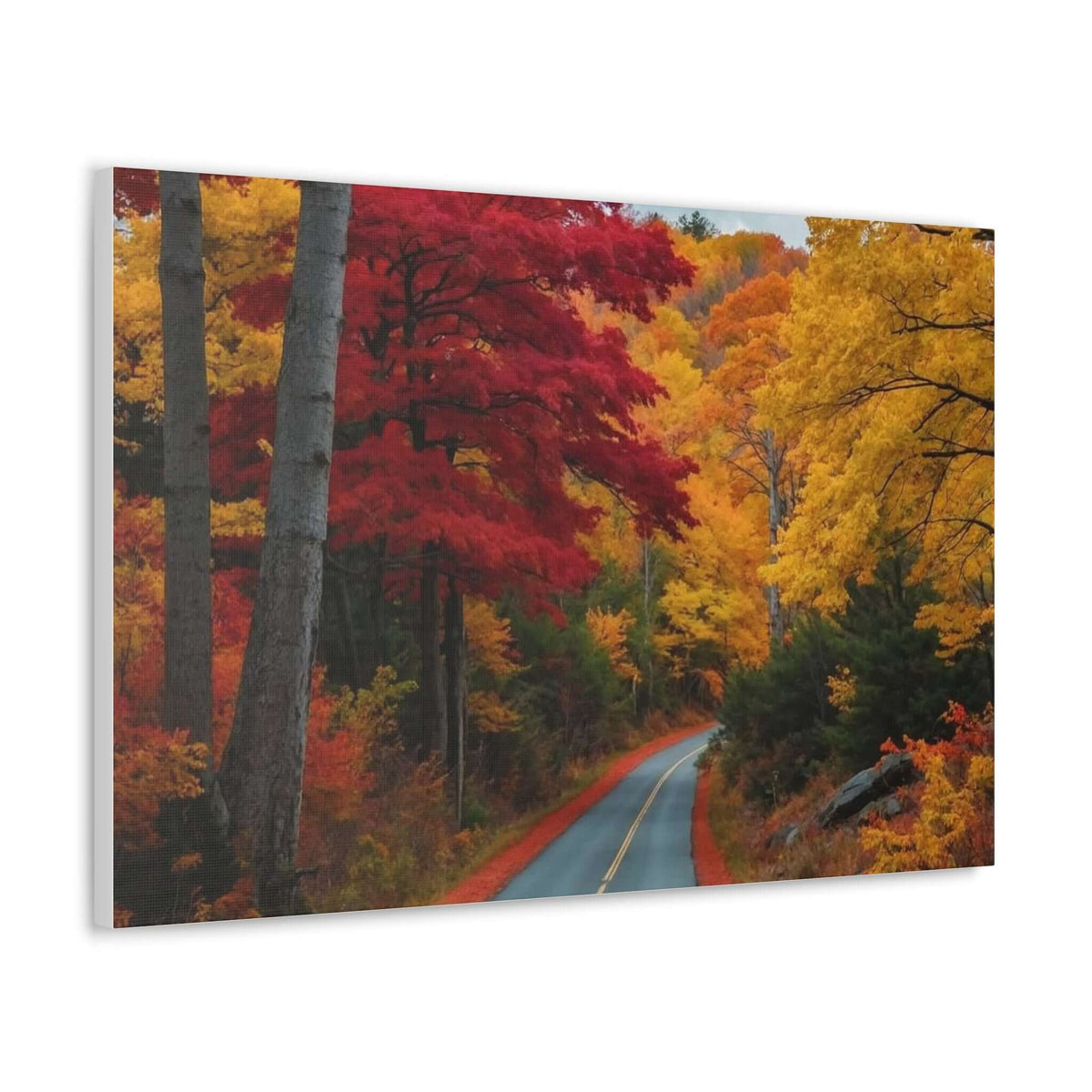 Canvas Wraps Wall Art Prints | Phonax Services