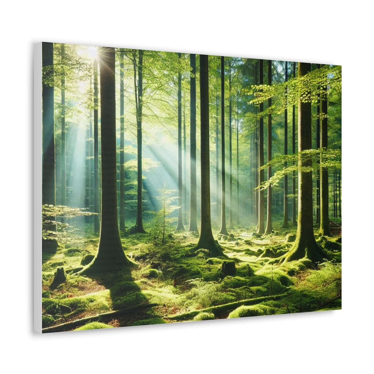 Canvas Gallery Wraps | Phonax Services