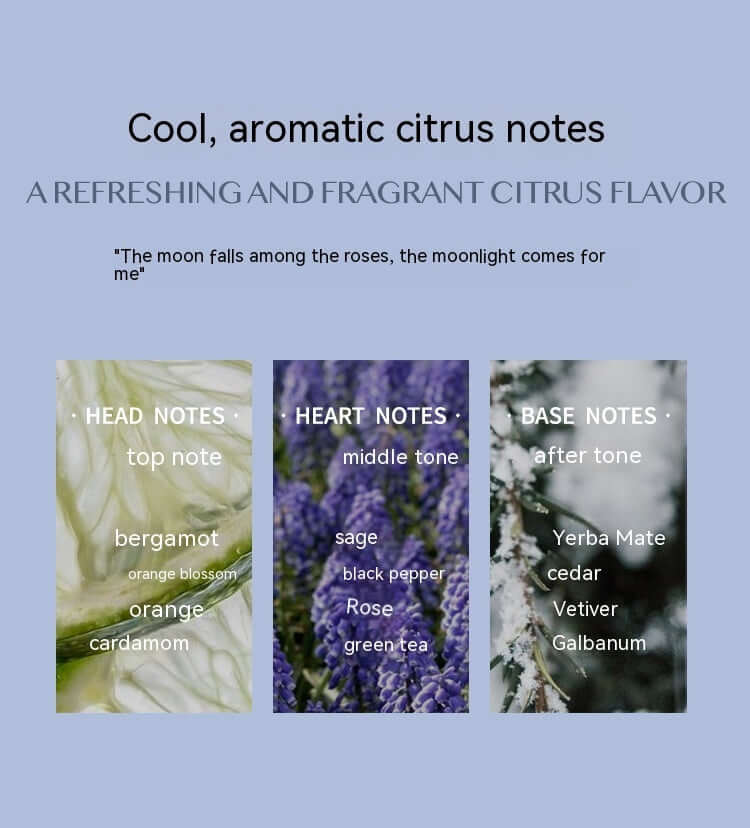 Aromatic Citrus Aromatic Perfume Long-lasting Perfume | Phonax Services