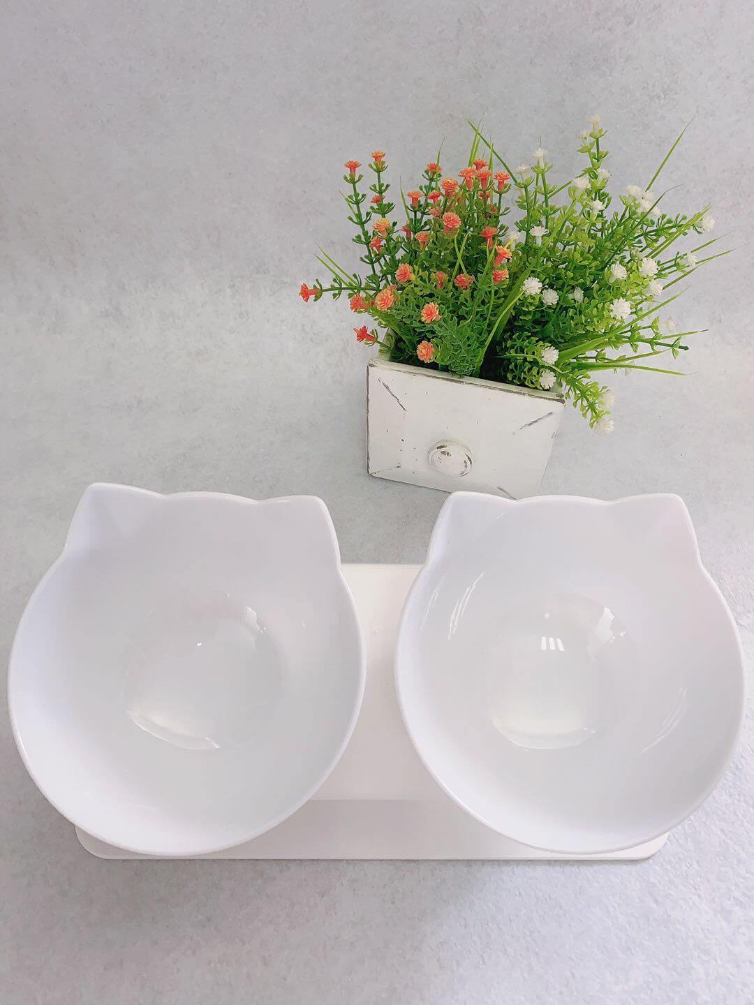 Cat Double Bowl Cat Food Bowl Protects Cervical Vertebra | Phonax Services