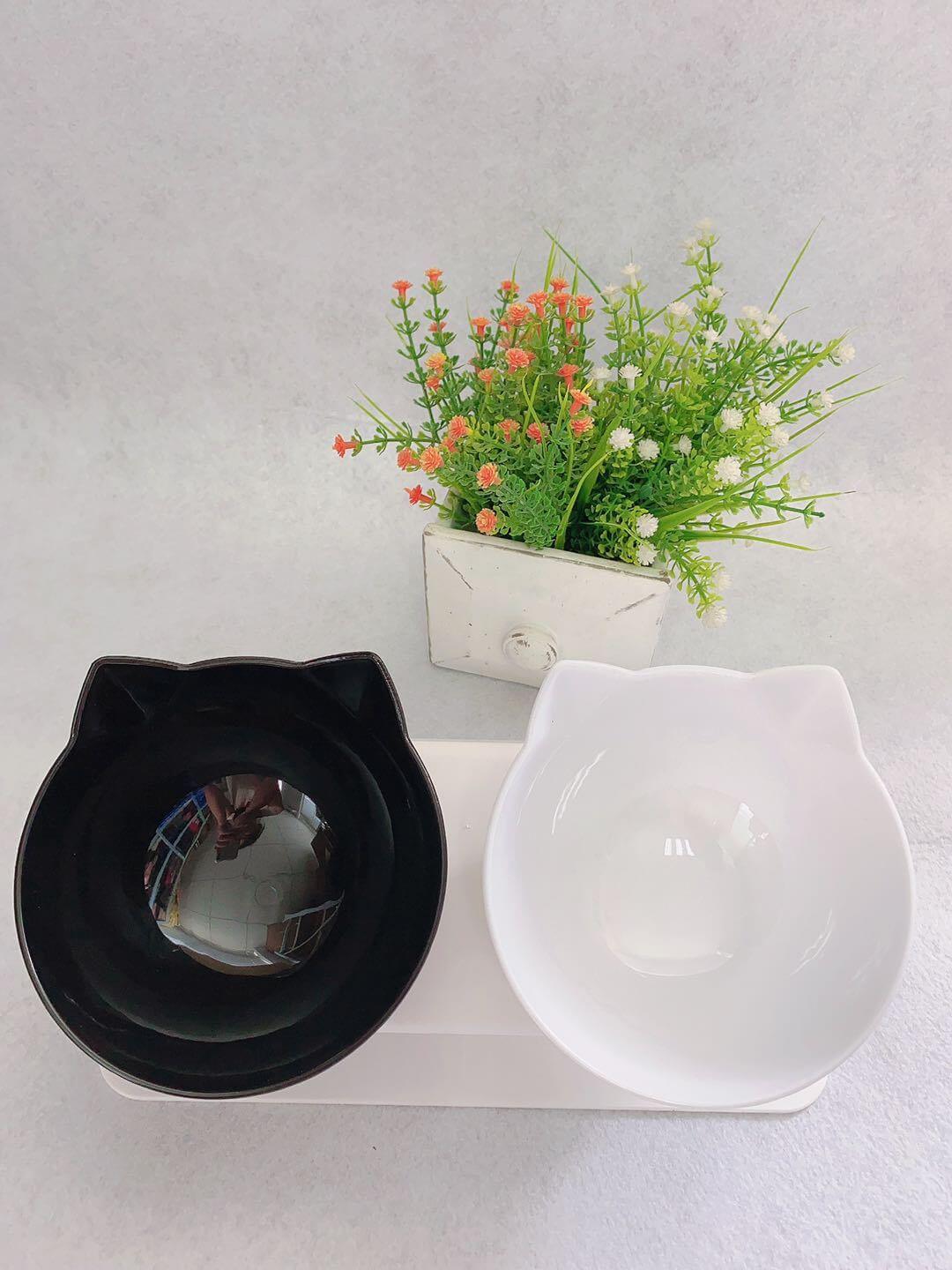 Cat Double Bowl Cat Food Bowl Protects Cervical Vertebra | Phonax Services