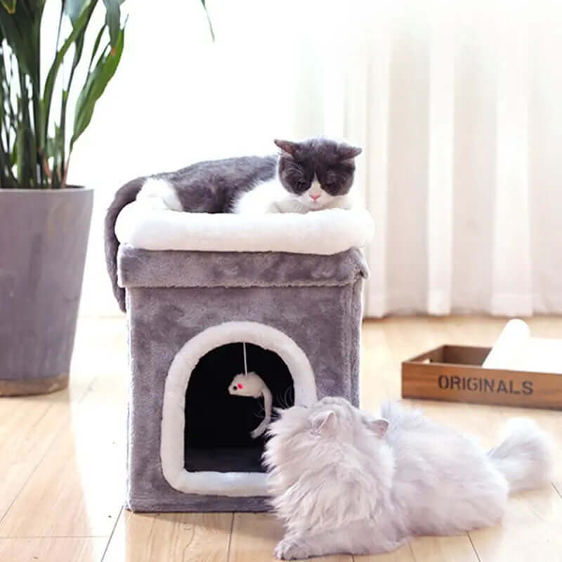 Deep Sleep Luxury Pet Bed | Phonax Services