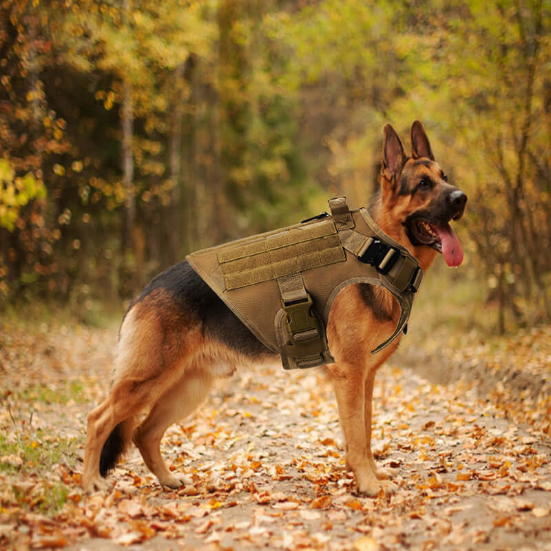 Outdoor Tactical Dog Vest For Large Dogs | Phonax Services