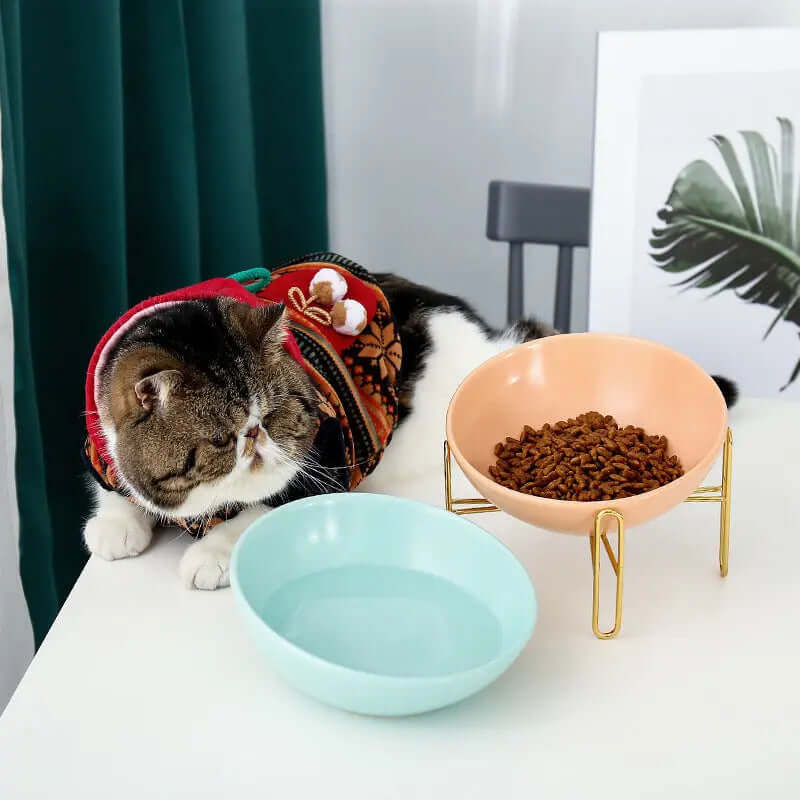 Pet Bowl pet supplies | Phonax Services
