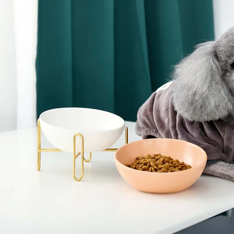 Pet Bowl pet supplies | Phonax Services