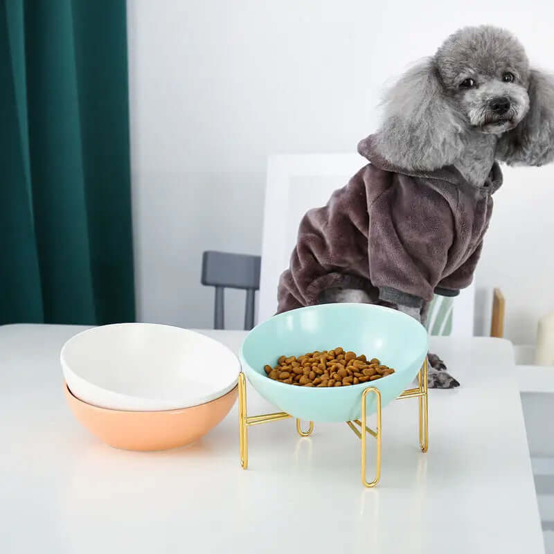 Pet Bowl pet supplies | Phonax Services