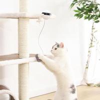 Pet Cat Toy Electronic Motion Cat Toy Interactive | Phonax Services