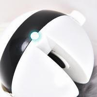 Pet Cat Toy Electronic Motion Cat Toy Interactive | Phonax Services