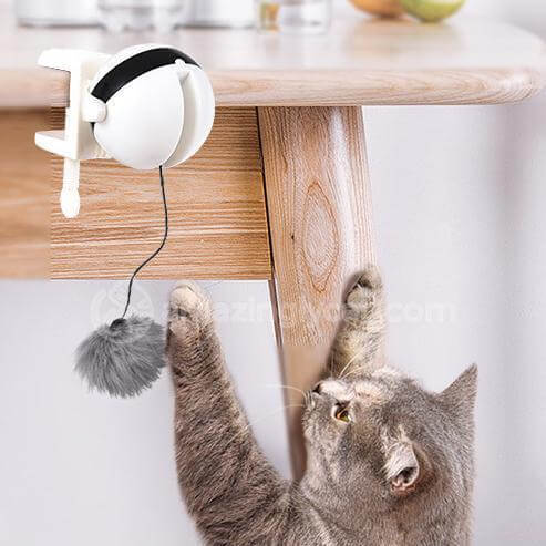 Pet Cat Toy Electronic Motion Cat Toy Interactive | Phonax Services