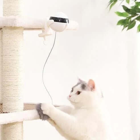 Pet Cat Toy Electronic Motion Cat Toy Interactive | Phonax Services